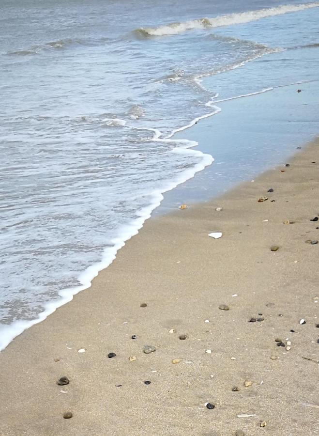 Study Du Pecheur Leilighet Trouville-sur-Mer Eksteriør bilde